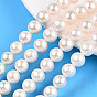 Brins de perles de culture d'eau douce naturelles, ronde