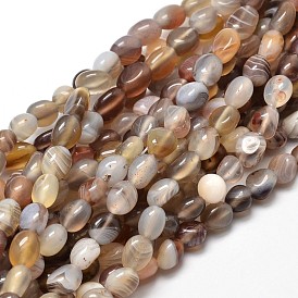 Pépites naturelles agate de botswana perles brins, pierre tombée, 5~10x6~7x3~7mm, Trou: 1mm, environ 14.9 pouces ~15.7 pouces