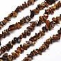 Natural Tiger Eye Chip Bead Strands, 5~8x5~8mm, Hole: 1mm, about 31.5 inch