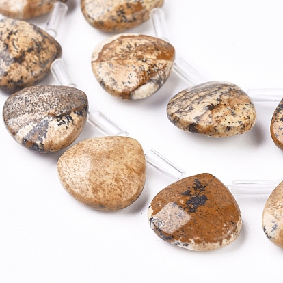 Natural Picture Jasper Beads Strands, Top Drilled Beads, Faceted, Teardrop