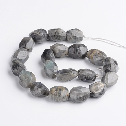 Nuggets Natural Labradorite Beads Strands, 15~22x8~17mm, Hole: 1mm, about 18~22pcs/strand, 15 inch