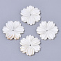 Natural Freshwater Shell Beads, Carved, Flower