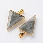 Faceted Triangle Natural Labradorite Pendants, with Golden Tone Brass Findings