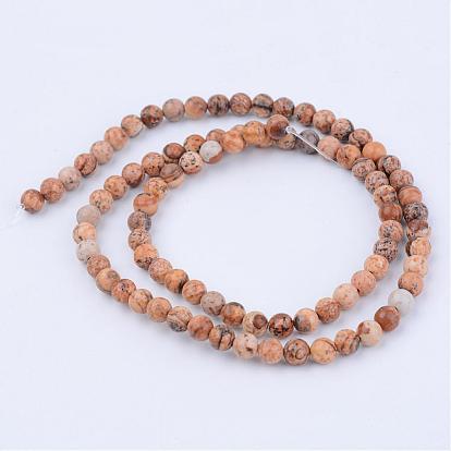 Natural Picture Jasper Beads Strands, Round