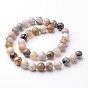 Round Natural Bamboo Leaf Agate Bead Strands