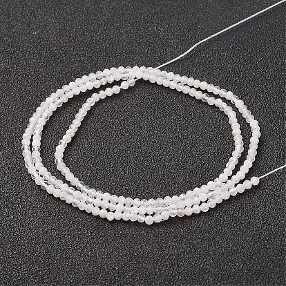 Natural Rainbow Moonstone Bead Strand, Round, Faceted