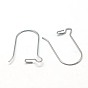 316 Surgical Stainless Steel Hook Earrings