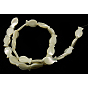 Shell normal de perles blanches de brins, perles en nacre, poisson, 16~17x10x3mm, Trou: 1mm, environ 24 pcs / brin, 16 pouce/brin