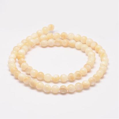 Shell normal de perles brins, ronde
