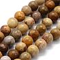 Natural Fossil Coral Beads Strands, Round