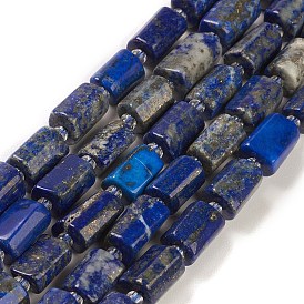 Natural Lapis Lazuli Beads Strands, with Seed Beads, Faceted, Column