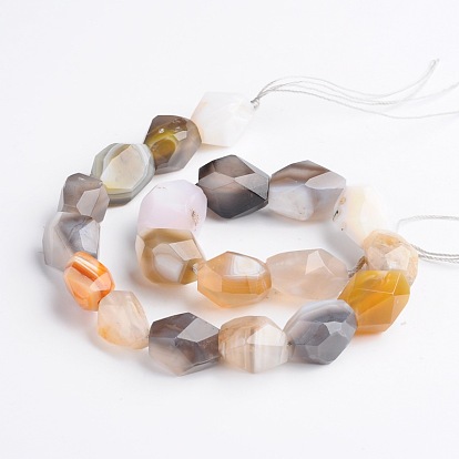 Nuggets Natural Botswana Agate Beads Strands, 15~22x8~17mm, Hole: 1mm, about 18~22pcs/strand, 15 inch
