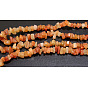 Natural Red Aventurine Chips Beads Strands, 5~8mm, Hole: 0.3mm, about 32~32.5 inch