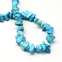 Dyed Synthetic Turquoise Stone Bead Strands, Chip, about 8~18mm long, 6~12mm wide, 3~7mm thick, Hole: 1mm, about 160pcs/strands, 34.6 inch