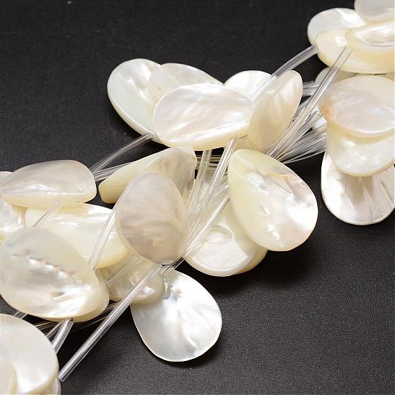 Natural Trochid Shell/Trochus Shell Beads Strands, Top Drilled Beads, Teardrop, 25x18x3~5mm, Hole: 1mm, about 10pcs/strand, 14.96 inch