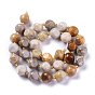 Natural Fossil Coral Beads Strands, with Seed Beads, Six Sided Celestial Dice