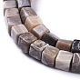 Natural Fossil Coral Beads Strands, Cube