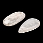 Natural Moonstone Pendants, Teardrop/Oval Charms