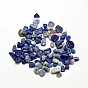 Natural Lapis Lazuli Chip Beads, Tumbled Stone, No Hole/Undrilled
