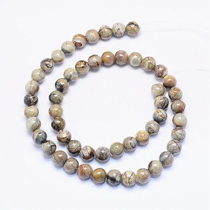 Jaspe polychrome naturel/pierre de Picasso/brins de perles de jaspe de Picasso, ronde