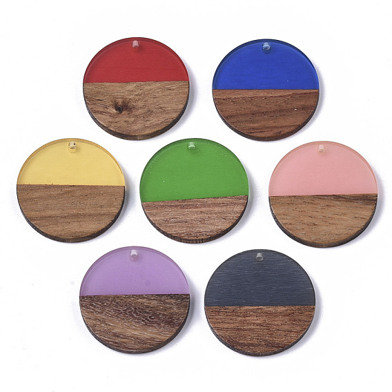 Transparent Resin & Walnut Wood Pendants, Flat Round
