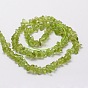 Natural Peridot Chip Bead Strands, 3~5x3~5mm, Hole: 1mm, about 32~32.5 inch
