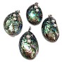 Paua Shell Big Pendants, with Freshwater Pearl Beads and Brass Pendant Settings, Drop, Platinum Metal Color, 54~65x36~40x16mm, Hole: 7x4mm