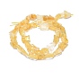 Raw Rough Natural Citrine Beads Strands, Nuggets