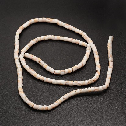 Columna concha espiral natural cuentas de concha de labio rojo hebras, 4~5x4~5 mm, agujero: 1 mm, sobre 133 unidades / cadena, 23.6 pulgada