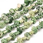 Ours blanc tache verte naturelle perles de jaspe brins, 10.5x14~15x6~7mm, Trou: 1mm, Environ 39 pcs/chapelet, 14 pouce