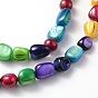 Chapelets de perles de coquillage naturel, teint, amorphe, colorées