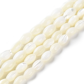 Natural Trochus Shell Beads Strands, Rice