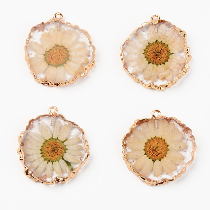 Resin Pendants, with Dried Flower and Edge Light Gold Plated Iron Loop, Flat Round