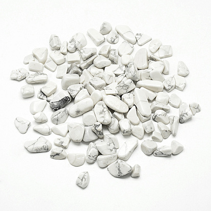 Natural Howlite Beads, No Hole/Undrilled, Chip