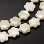 Natural Trochid Shell/Trochus Shell Beads Strands, Flower, 12x3~4mm, Hole: 1mm, about 34pcs/strand, 15.35 inch