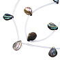 Natural Abalone Shell/Paua Shell Beads Strands, Teardrop