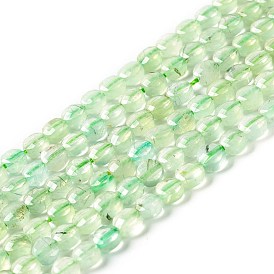 Natural Prehnite Beads Strands, Faceted, Flat Round, Grade AA