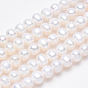 Natural Cultured Freshwater Pearl Beads Strands, Potato