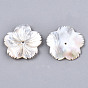 Natural White Shell Mother of Pearl Shell Beads, Carved, Flower