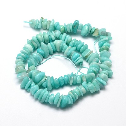 Natural Amazonite Chip Beads Strands, 5~14x4~10mm, Hole: 1mm, about 15.5 inch ~16.1 inch