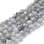 Natural Labradorite Beads Strands, Faceted, Flat Round