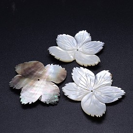 Lèvre naturel noir perles shell de fleurs, 39~45x49~56x3mm, Trou: 1~2mm