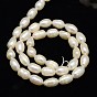 Natural Cultured Freshwater Pearl Beads Strands, Rice, 6~7mm, Hole: 0.8mm, about 38pcs/strand, 13.77 inch ~14.17 inch