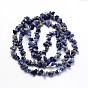 Natural Sodalite Chips Beads Strands