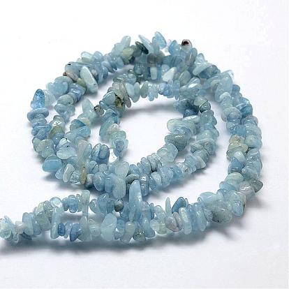 Natural Aquamarine Beads Strands, Chip, Grade AA