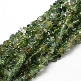 Natural Apatite Chip Beads Strands, 5~14x4~10x1~15mm, Hole: 1mm, about 15.5 inch ~16.1 inch