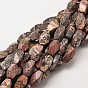 Leopardskin naturelle perles de torsion brins, 16x8mm, Trou: 1mm, Environ 25 pcs/chapelet, 15.7 pouce