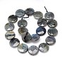 Natural Labradorite Bead Strands, Faceted, Flat Round