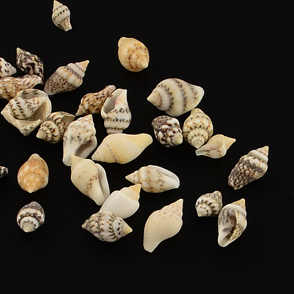 Perles de coquillage en spirale naturelle, sans trou, 7~12x3~7x3~7 mm, environ 3875 pcs / 500 g