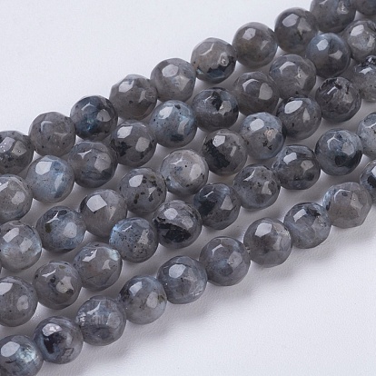 Natural Larvikite Beads Strands, Faceted, Round, 4mm, Hole: 1mm, about 90pcs/strand, 15.35 inch